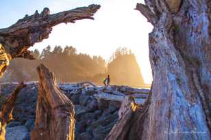 La Push breakwater closeup-2186